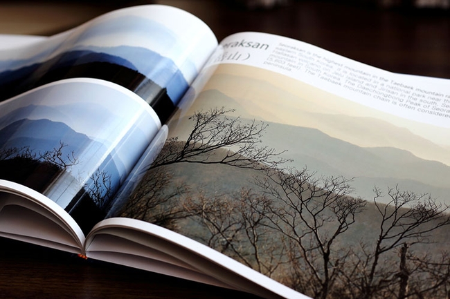 Top 35 Photography Books You Must Read in 2022