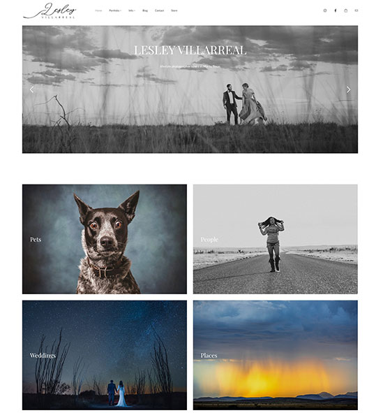 Lesley Villarreal Portfolio Website Examples