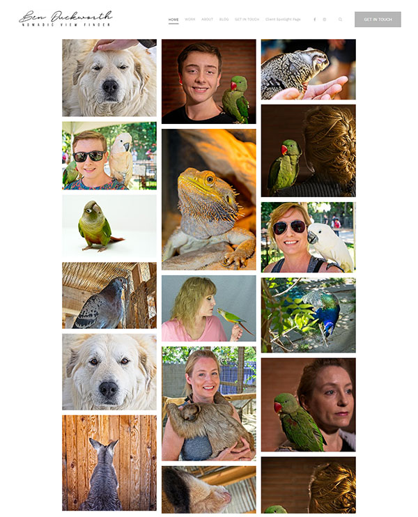 Ben Duckworth - Pet Photography website - Pixpa