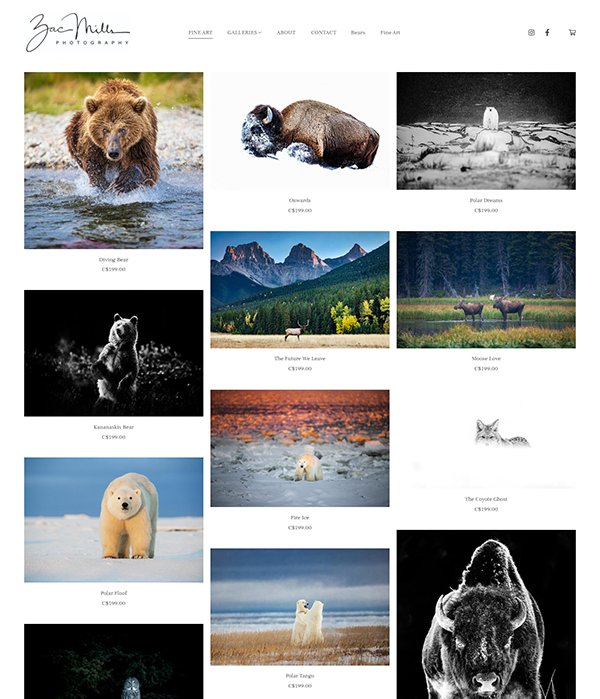Zac Mills - Wildlife photographers portfolio website - Pixpa