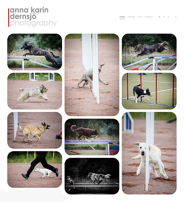 Anna - Pet Photographer's website built on pixpa